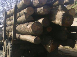 Патрульні зреагували на інформацію журналістів та затримали вантаж з "лівим" лісом