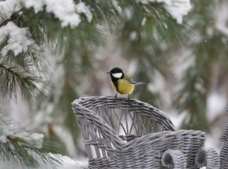 Буде сильна ожеледиця та мокрий сніг: погода 12 лютого
