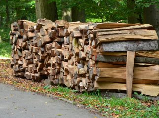 Скільки коштує купити дрова на Закарпатті: офіційні ціни у лісництвах