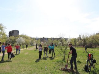 Наступного тижня в Ужгороді відбудеться загальноміське прибирання