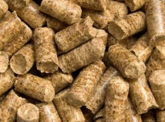 Закарпатські школи можуть перевести на екологічно чисті види палива