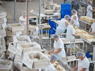 Чимало українців втратили роботу у сусідній країні через коронавірус