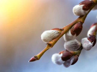 До сюрпризу рівно 2 дні: з 26 лютого погода зміниться — що очікувати До сюрпризу рівно 2 дні: з 26 лютого погода зміниться — що очікувати