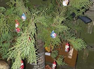 Воїни закарпатської 128 бригади показали свою новорічну «ялинку» на передовій