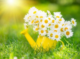 Літо 2022 року: з’явився прогноз, якою буде погода