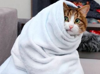 З якого числа почнеться похолодання в листопаді та коли варто очікувати сніг