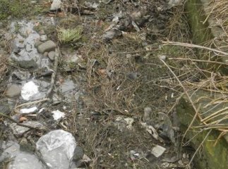 Хустяни вирішили боротись із забрудненням довкілля