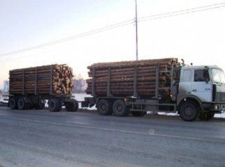 Правоохоронці затримали жителя Великого Бичкова, який незаконно перевозив ліс