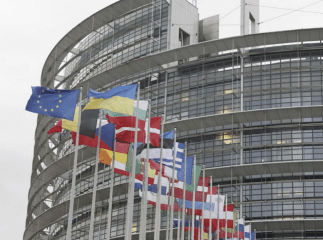 В Європарламент обрали двох угорок, родом із Закарпаття