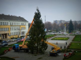 Головна ялинка Закарпаття: якою вона буде