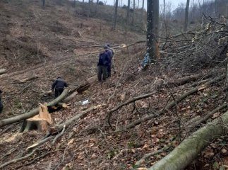 Трагедія на Мукачівщині: загинув чоловік. Встановлено попередню причину смерті
