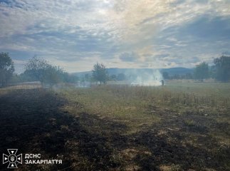 «Надзвичайники» приголомшили масштабами пожеж в екосистемах області