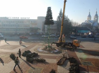 Головна ялинка Іршави цьогоріч буде штучною