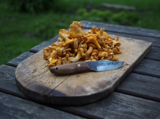 Рецепт картоплі з лисичками