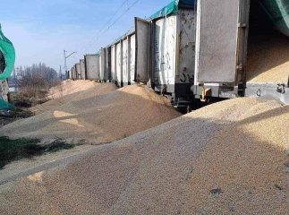 Такого ще не було: відомо, що зробили поляки з українським зерном Такого ще не було: відомо, що зробили поляки з українським зерном