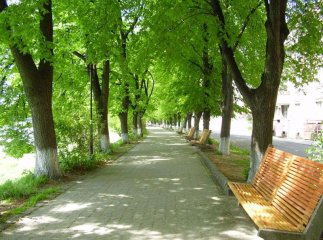 На набережній Незалежності в Ужгороді планують поступово замінити лавиці