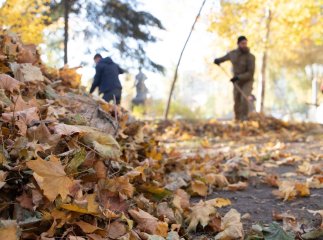 З 1 по 18 листопада: міськрада оприлюднила важливу інформацію для мукачівців