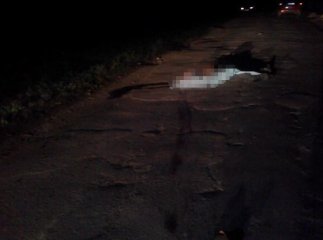 Смертельна ДТП: авто переїхало 35-річного чоловіка