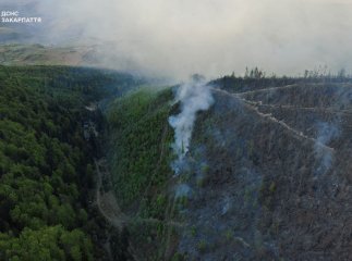 Прокуратура відкрила провадження через масштабну лісову пожежу на Закарпатті