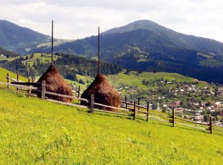 Міжгірські посадовці незаконно виділили 45 га пайових земель