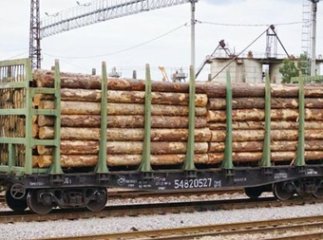 Вимога ЄС скасувати мораторій на вивіз лісу викликала обурення серед закарпатців
