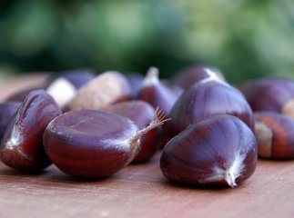 Улюблені вуличні ласощі італійців заполонили ринки Закарпаття