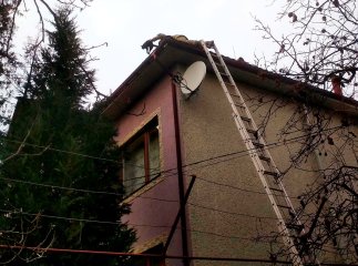 Як рятувальники коту допомагали