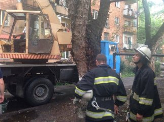 В Ужгороді завершили більшу частину робіт із ліквідації наслідків буревію