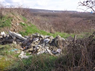 Китайські інвестори хочуть збудувати сміттєпереробний завод на Закарпатті