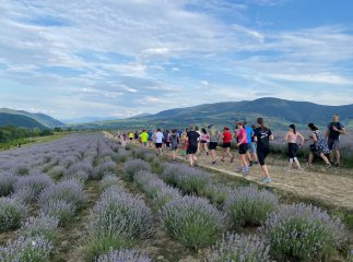 На Лавандовому благодійному забізі зібрали 23000 грн на ремонт техніки військових