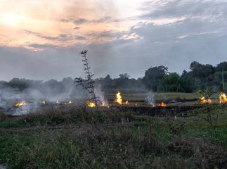 На місці події виявили тіло чоловіка: що відомо про пожежу в Іршаві