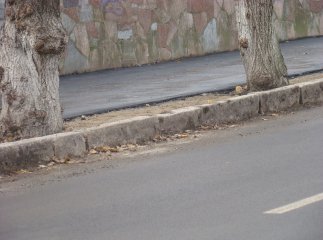 Вулиця Шевченка у Мукачеві отримала нове обличчя (ВІДЕО)