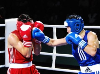 Молоді мукачівські боксери показали клас на обласному чемпіонаті