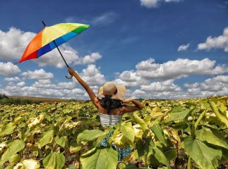 В Україну йде спека до +37°: чи прогріється так область