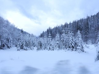 Експосадовець отримав підозру через махінації із землями «Синевиру»