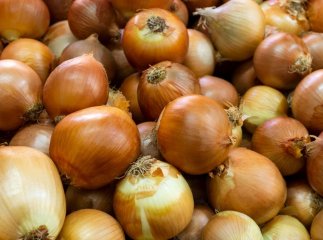 Ціни впали нижче собівартості: цей інгредієнт страв продають майже задарма