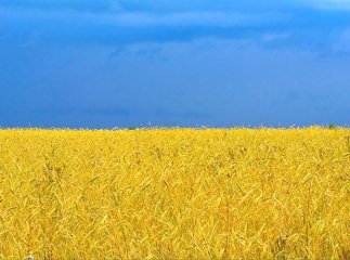 “Цей день був для мене найщасливішим у житті”,— згадує про 24 серпня 1991 року мукачівка Барбара Козик “Цей день був для мене найщасливішим у житті”,— згадує про 24 серпня 1991 року мукачівка Барбара Козик