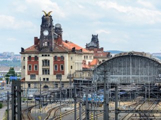 Із 11 червня: для українців в Чехії озвучили важливу новину