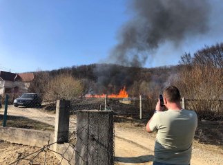 Закарпатці піймали палія сухостою. Він заплатить кілька тисяч штрафу