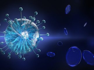 За добу в Закарпатті від коронавірусу померли 9 людей