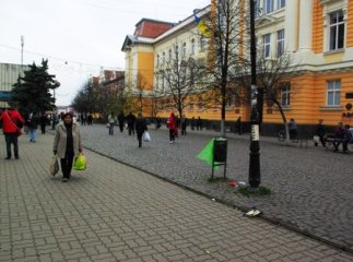 Берегово потопає у смітті, у всьому винне казначейство, яке заблокувало кошти – міська влада