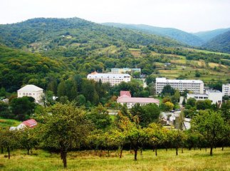У туристичному селі Поляна, що славиться своїми цілющими водами, проблема з водопостачанням