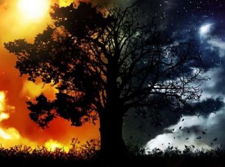 День весняного рівнодення: що варто та що не можна сьогодні робити