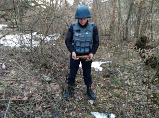 На Великоберезнянщині чоловік під час збирання хмизу знайшов небезпечну знахідку