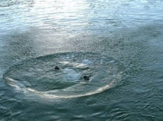 На Свалявщині знайшли тіло чоловіка