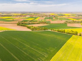 У Перечині товариство має відшкодувати понад 14 мільйонів гривень за забруднення ґрунтів