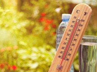 Закарпаття потерпає від аномальної спеки: подробиці