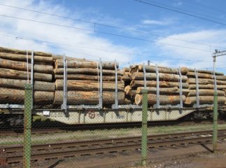 Через відсутність експерта потяг з лісом залишається у Чопі