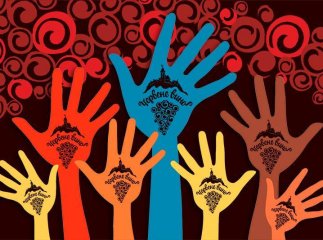 У Мукачеві запрошують волонтерів для інформаційного супроводу фестивалю «Червене вино – 2016» 