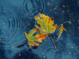 Дощі та похолодання: коли погіршиться погода